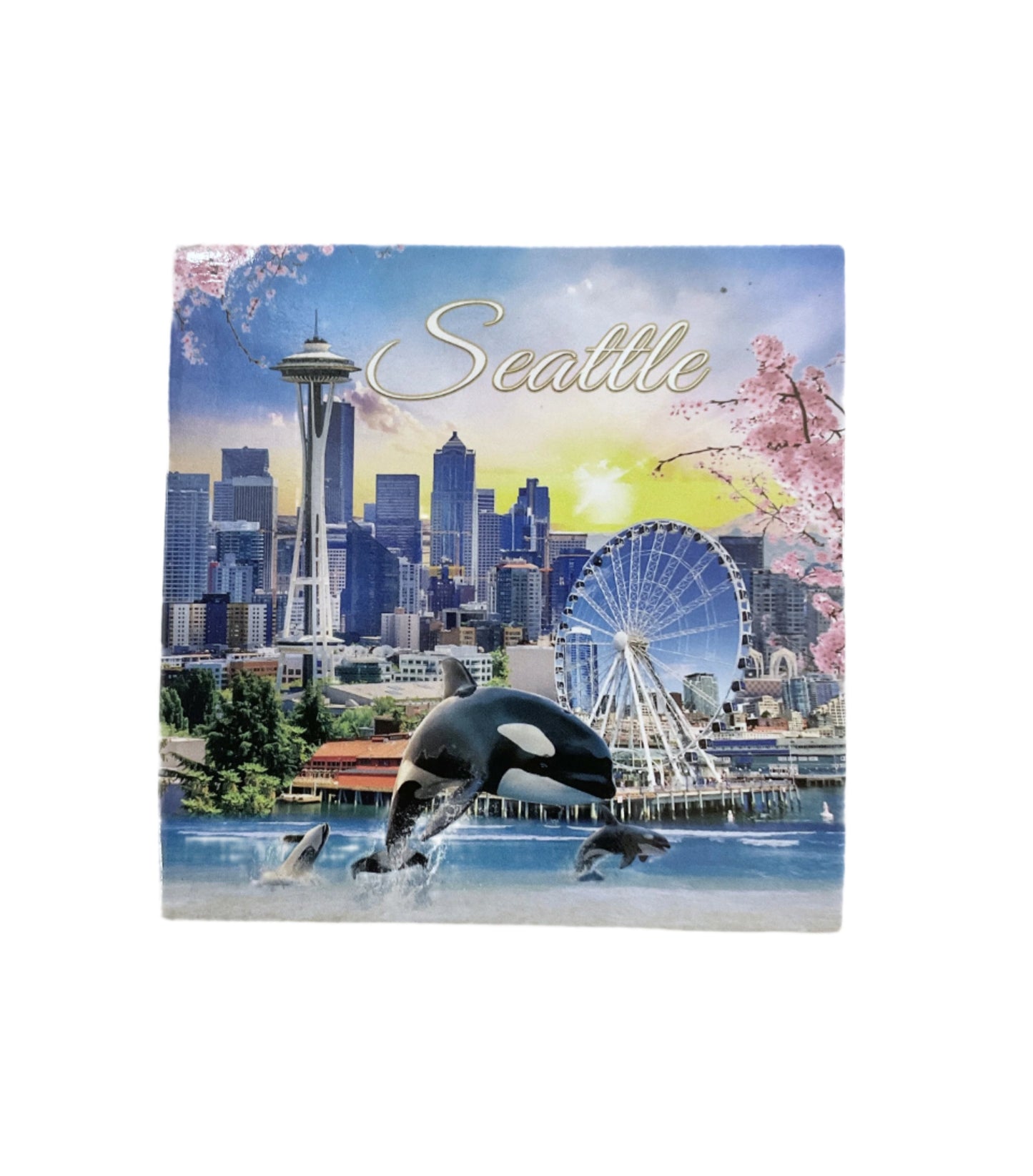 Seattle Square Magnet #88-088247716