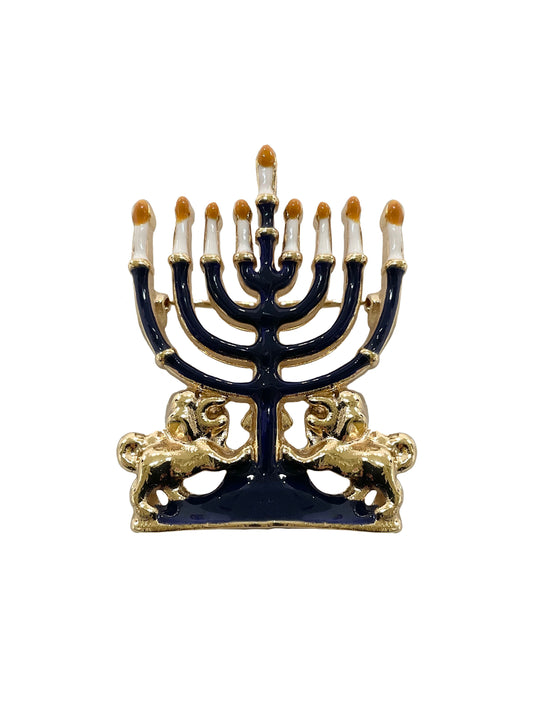 Hanukkah Menorah Pin #19-141494