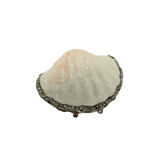 Sea Shell Clam Trinket Box #89-26600
