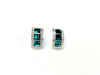 Earrings #33-20359BL